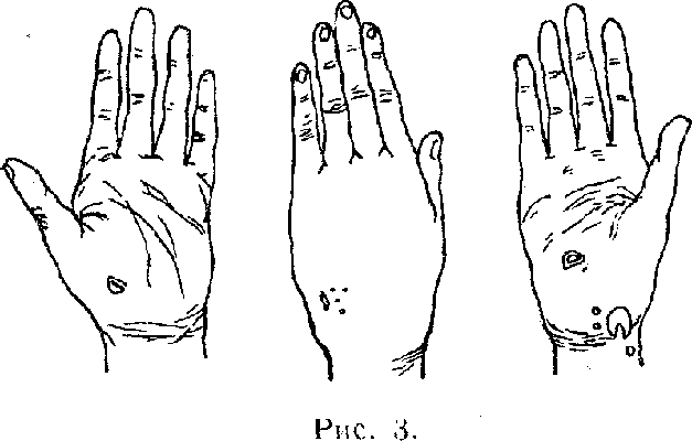 рис. 3